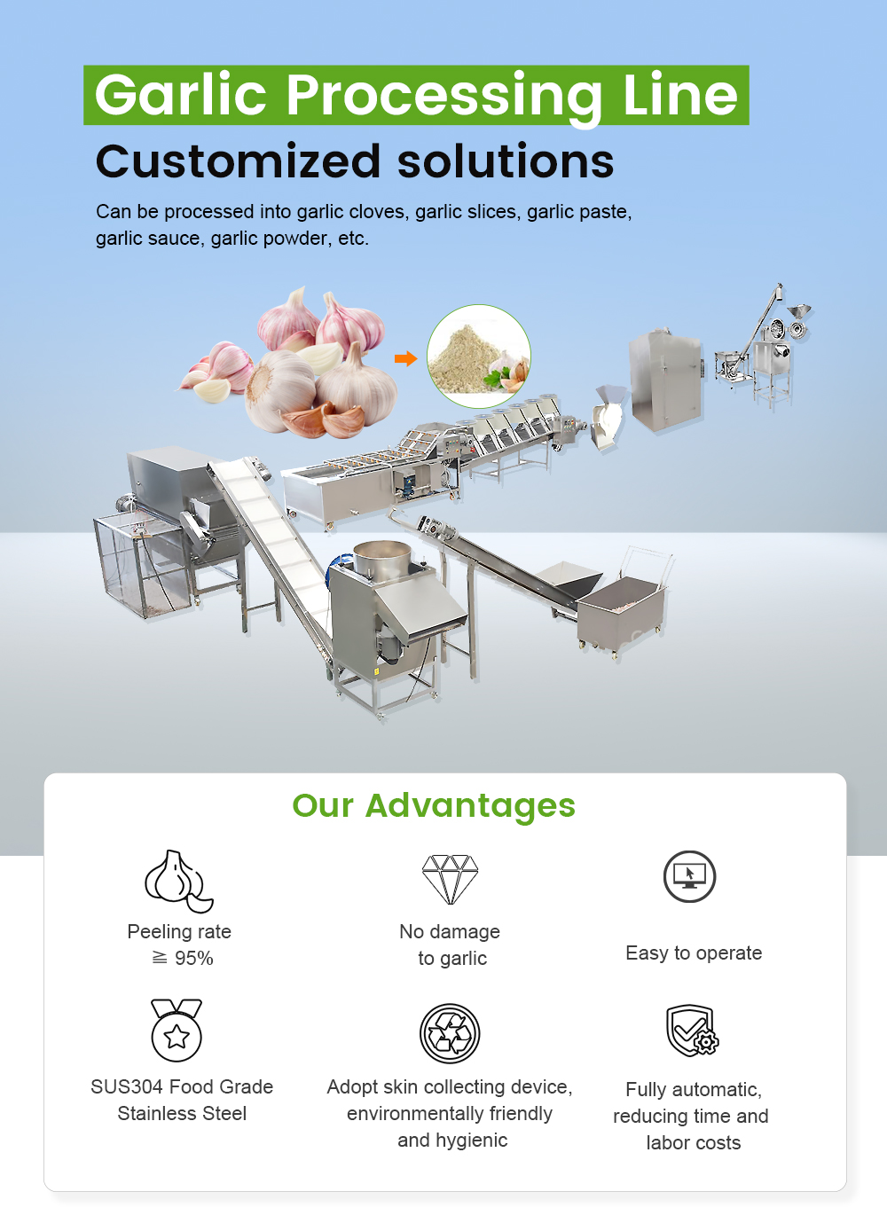 Garlic Processing Line - - 1
