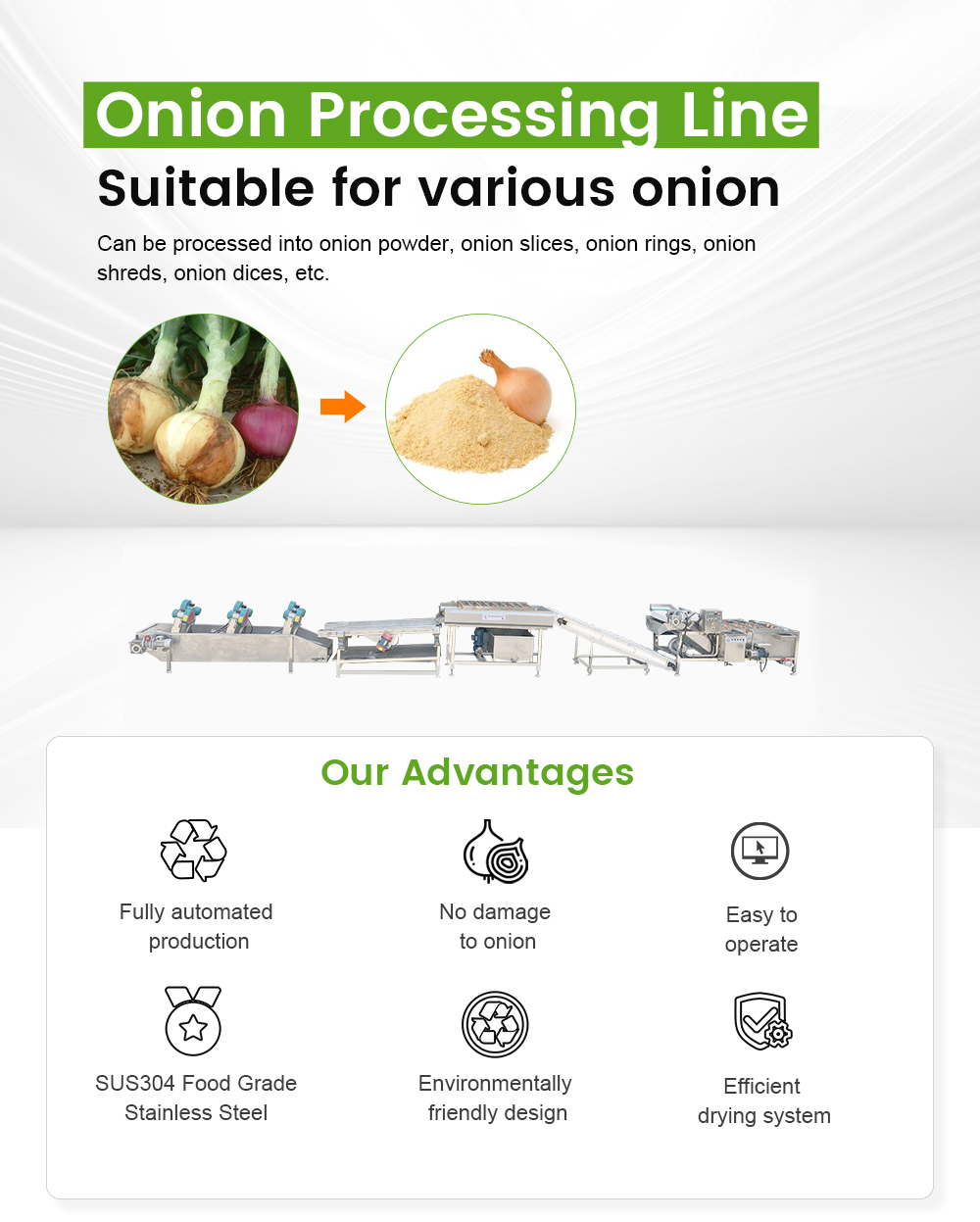 Onion Processing Line - - 1