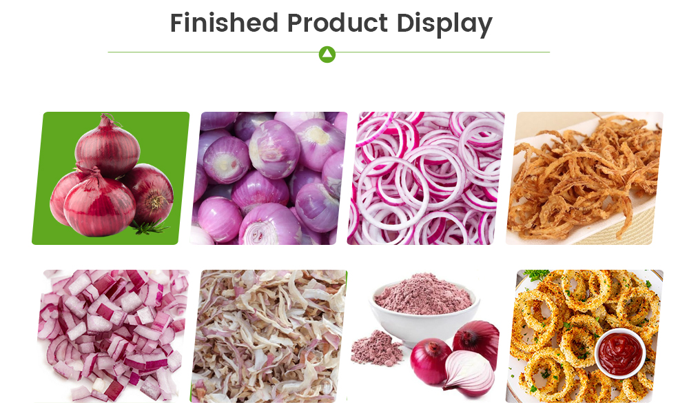 Onion Processing Line -  - 4
