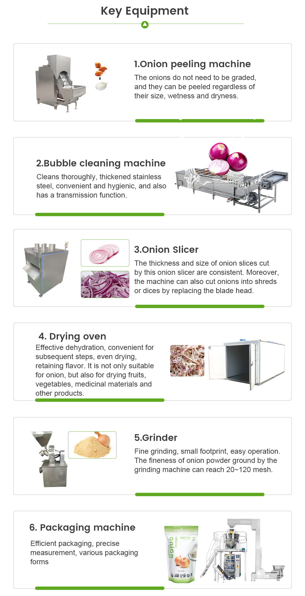 Onion Processing Line -  - 5