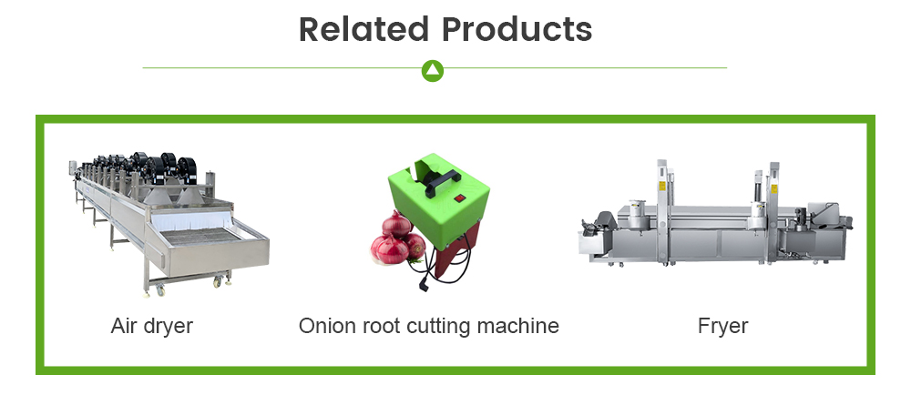 Onion Processing Line -  - 8