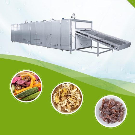 Mesh Belt Dryer
