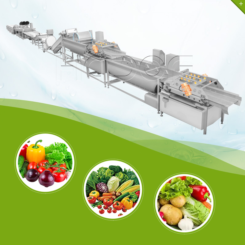 Vegetable Washing Production Line